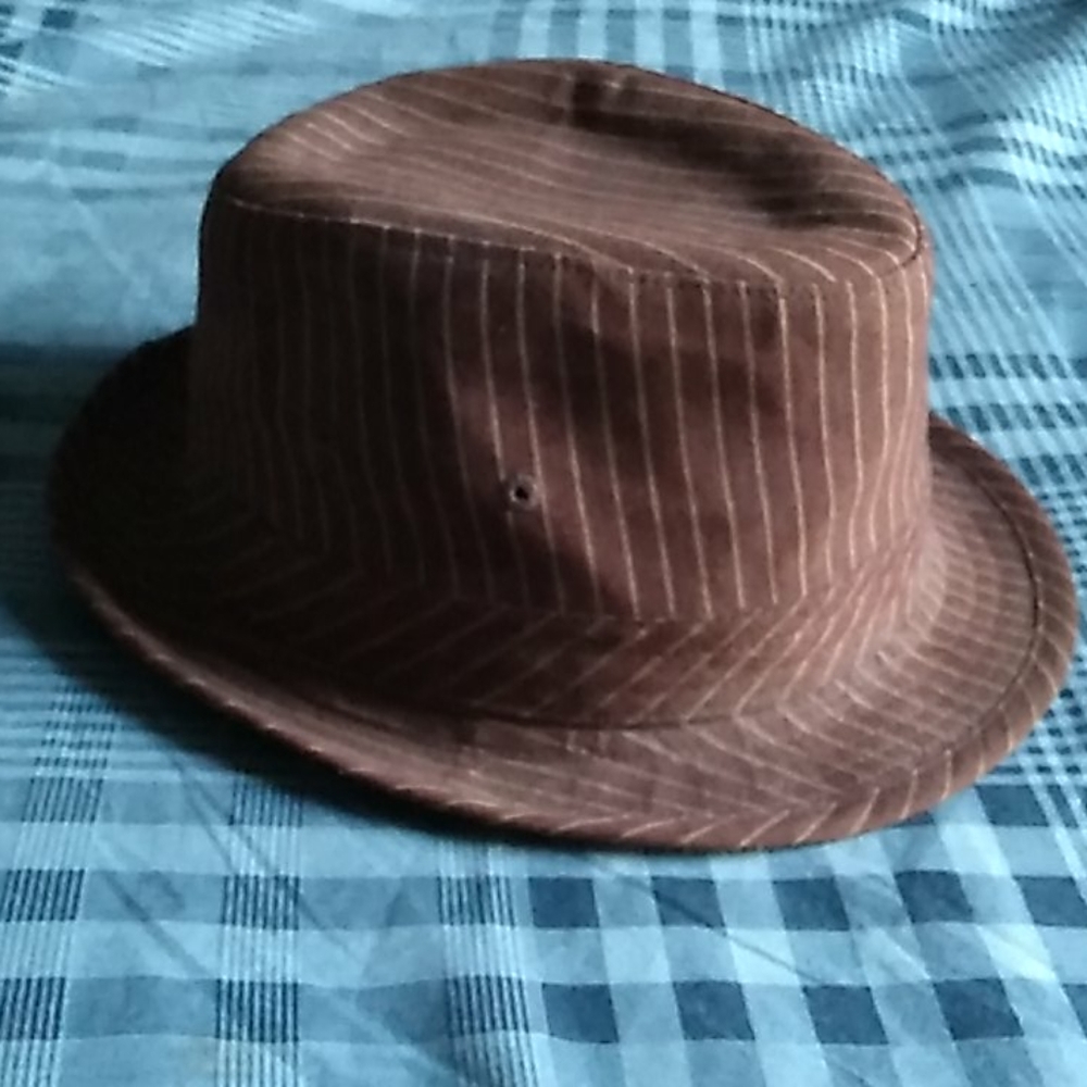 Mens brown hat/fidora
